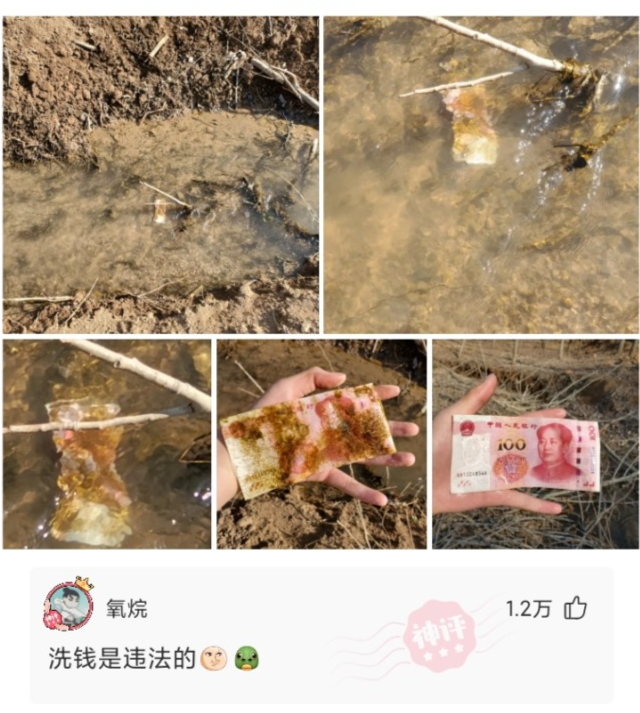 神回复：进网许可证被撕掉了，手机没网了，怎么办？网友：贴回去