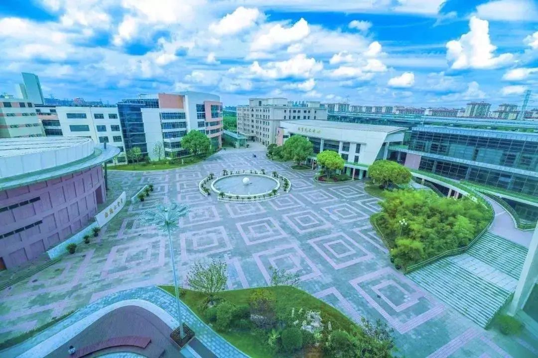 好消息！上海浦东这9所学校竟可幼儿园直升！一贯制成最大赢家