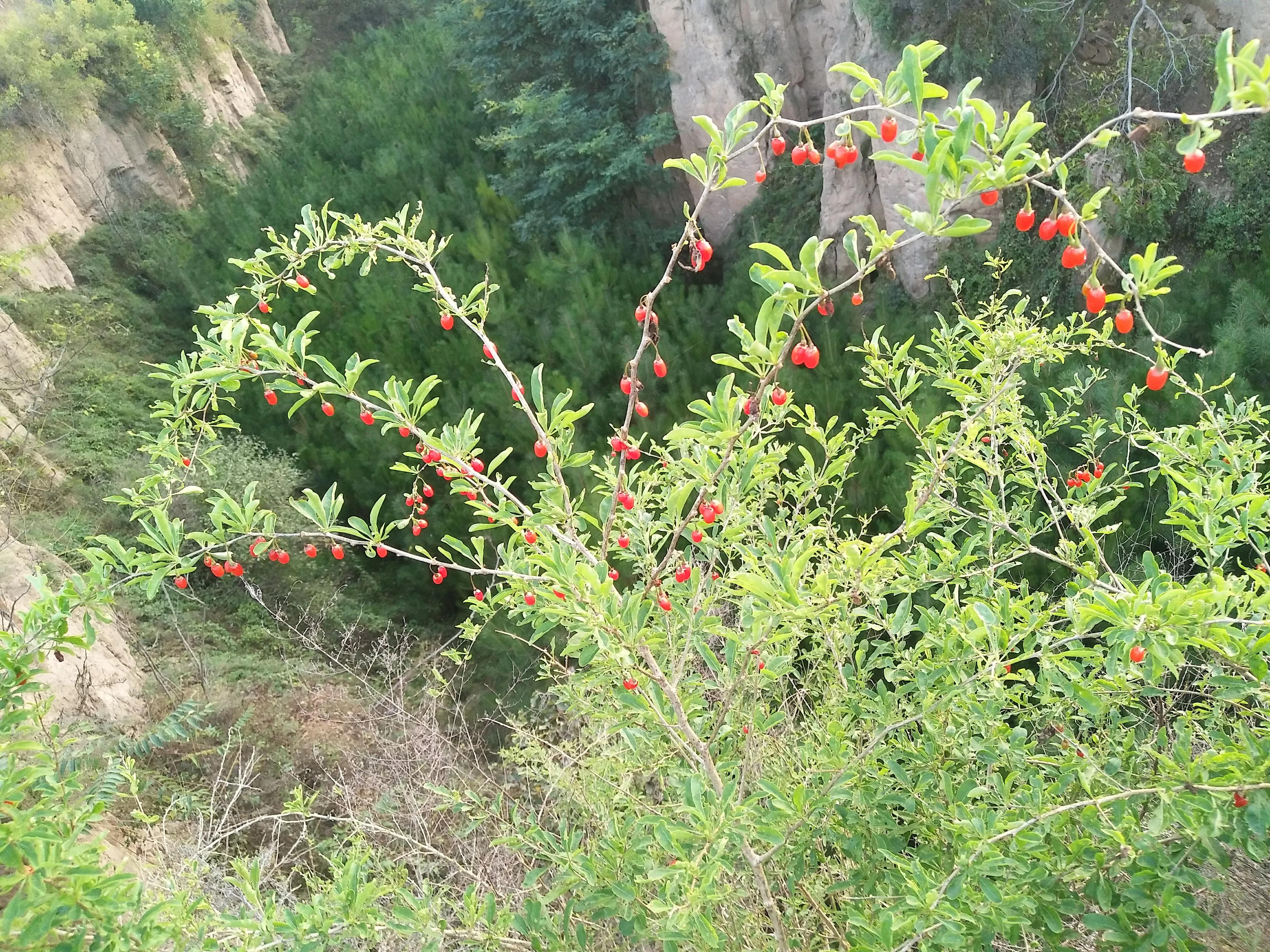 致已不再年轻的自己十句话