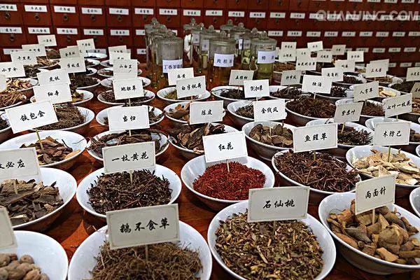 遇到这10个种殖项目，赔到血本无归！
