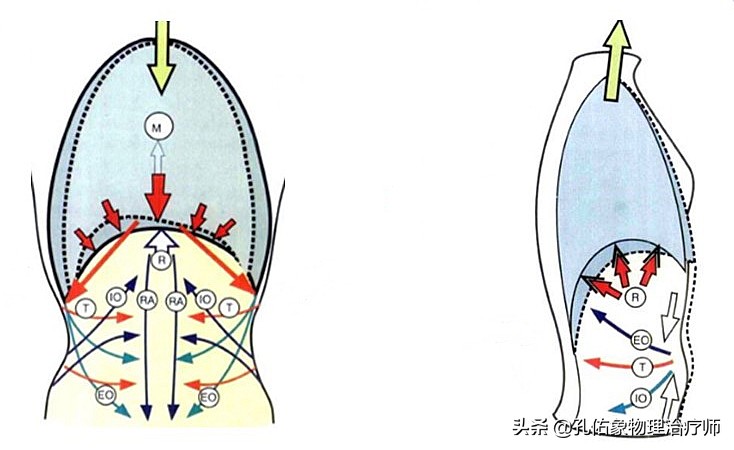 腰椎间盘突出的朋友，为何反复治不好？手术就能解决？告知您内幕