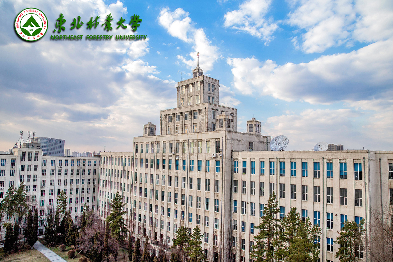 17所超100亿，234所过10亿，大学预算经费有哪三个规律？