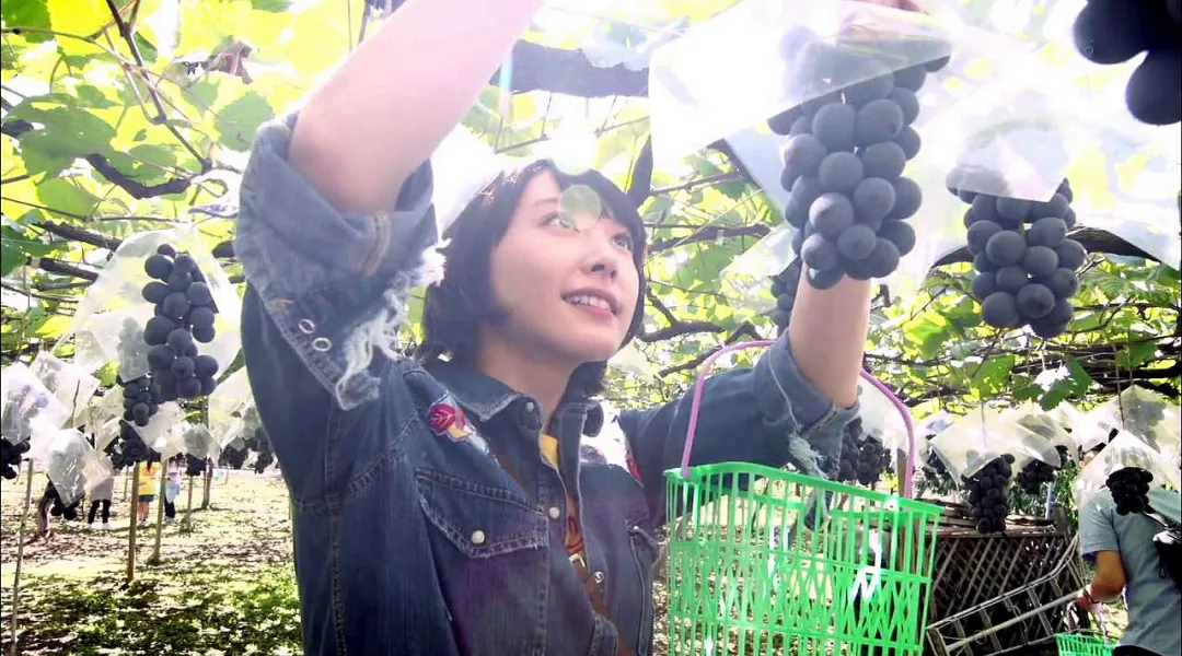葡萄之王跌到白菜价,中日韩上演三国杀