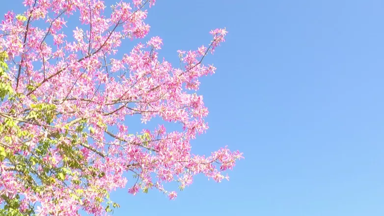 适合中老年人过冬的8个旅行地,给自己一份不老的底气,出发吧
