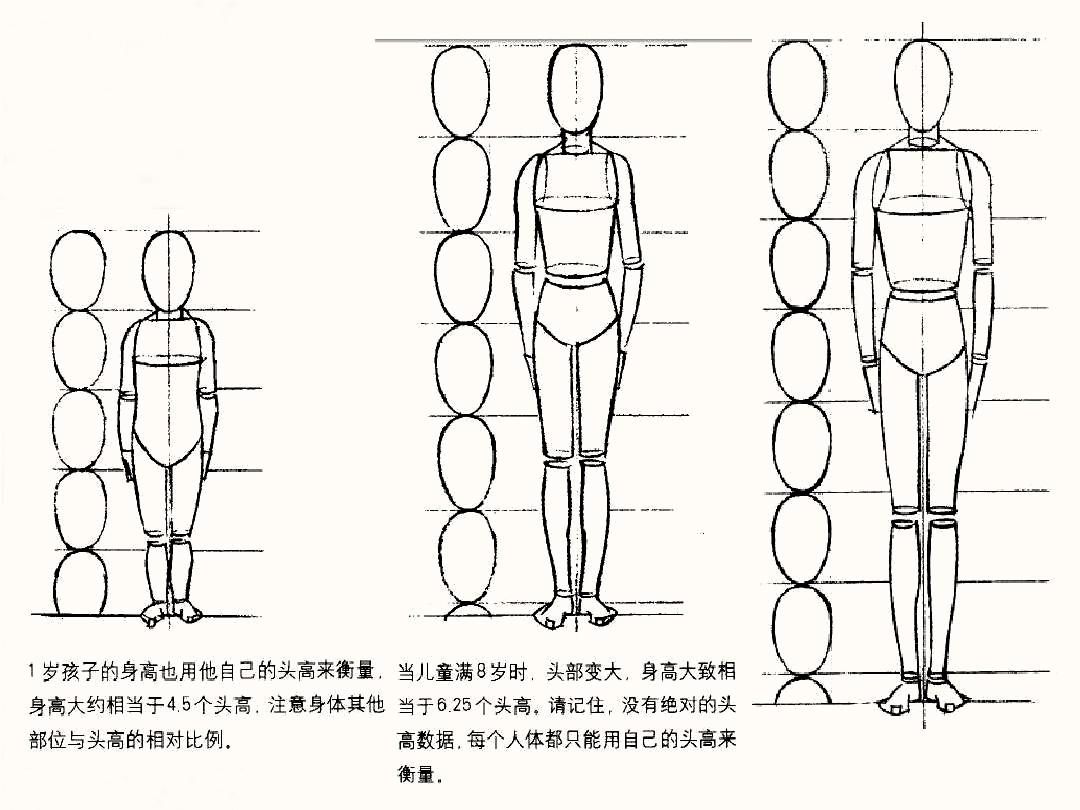 人体比例结构在绘画里有着举足轻重的地位,它决定了你画出来的人物