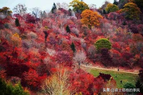 金秋十月，到辽宁这几个地方走走，寻找你梦中那个惊艳至极的秋