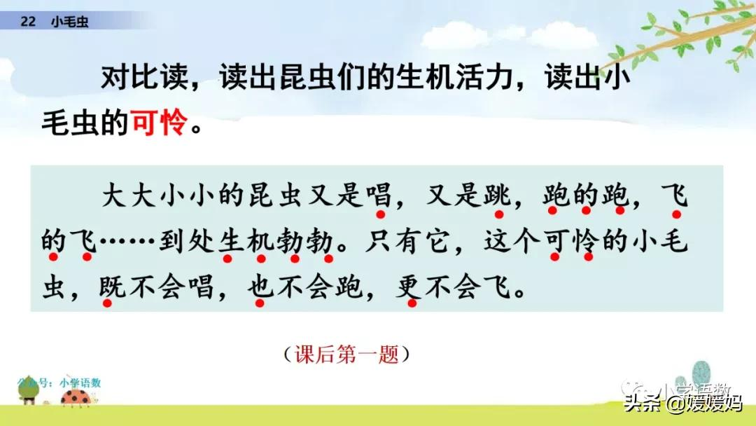 二年级下册语文课文22《小毛虫》图文详解及同步练习