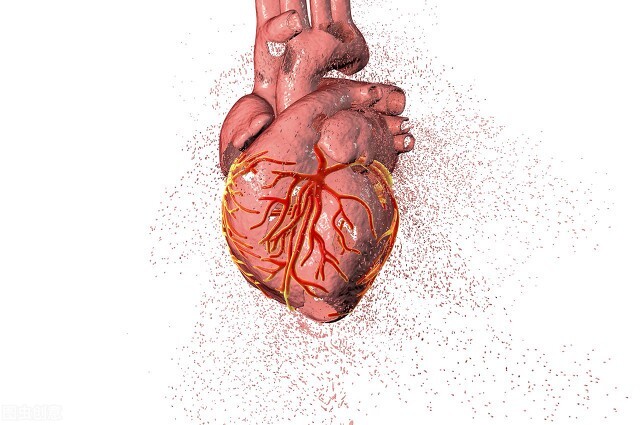 医师科学普及肾脏的内部结构，为什么会出现心血管疾病