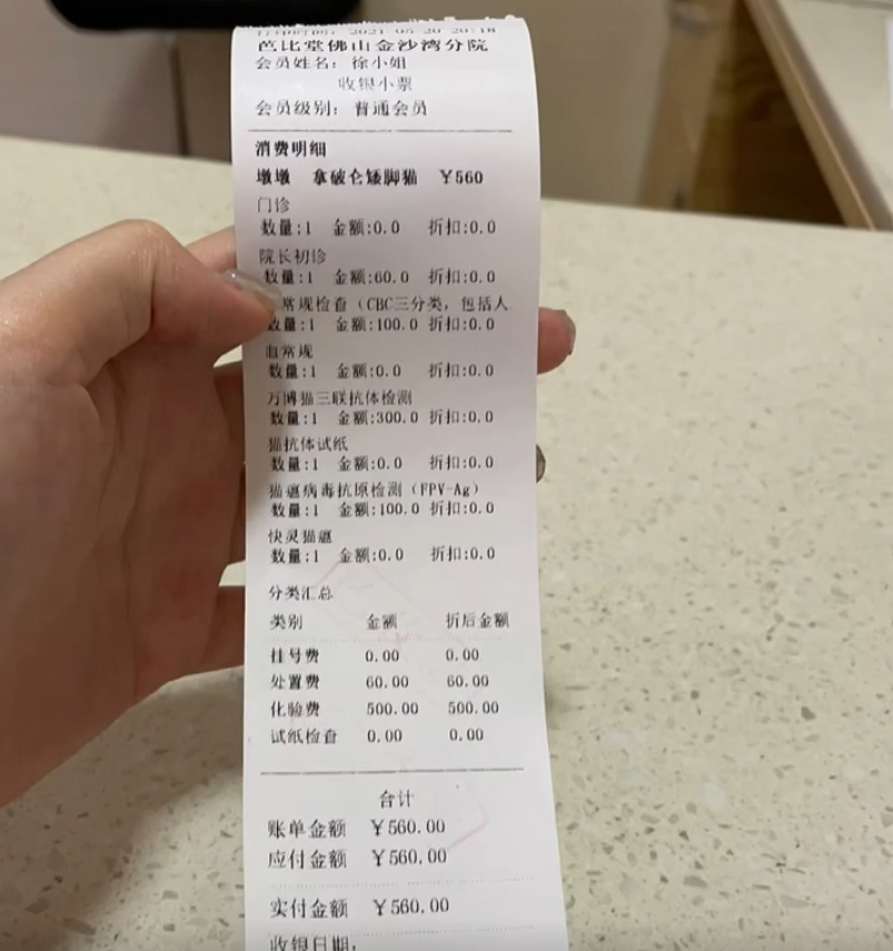 花7500买了只矮脚猫，回家后发现它耳聋