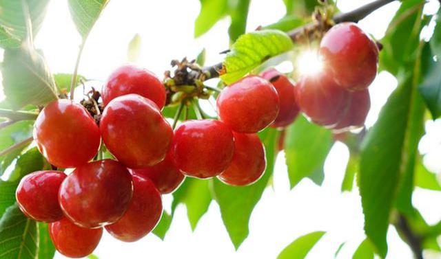 4月第二周 新闻中的渭南事（组图）