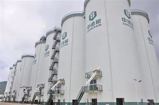 “大国粮仓”究竟存了多少粮？