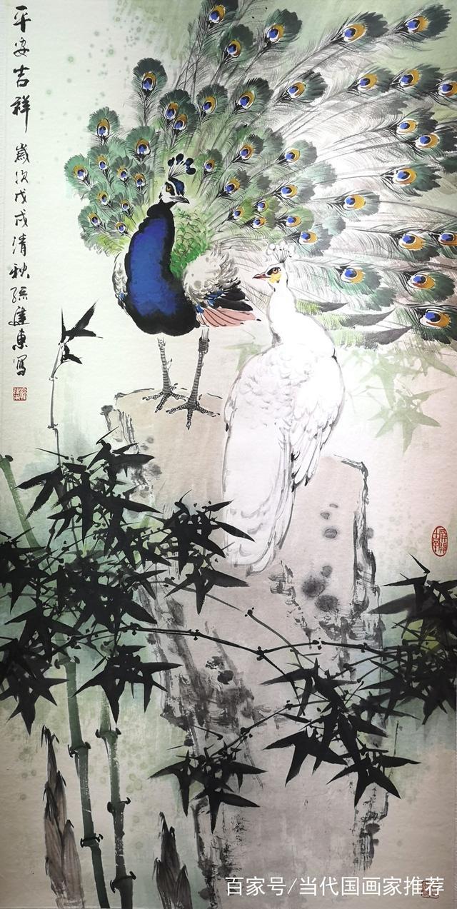 高贵,冷艳的白孔雀