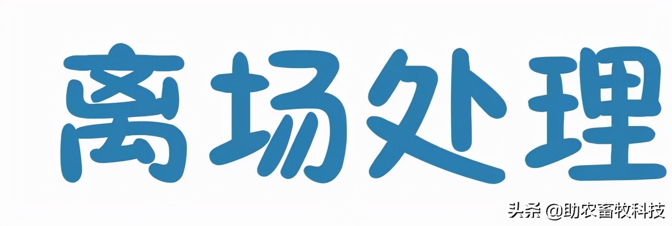 猪场如何进行非洲猪瘟排查？这几张图简单明了，值得收藏