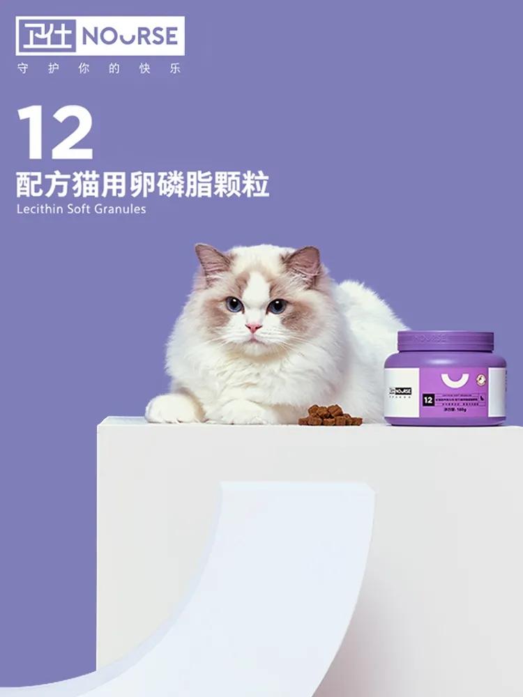 没钱不能养猫吗？资深猫奴告诉你养猫一个月多少钱