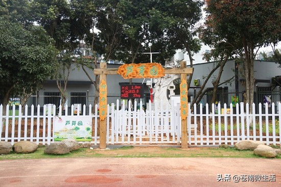 灵溪校园①</p><p>　　嘿！好久不见，甚是想念