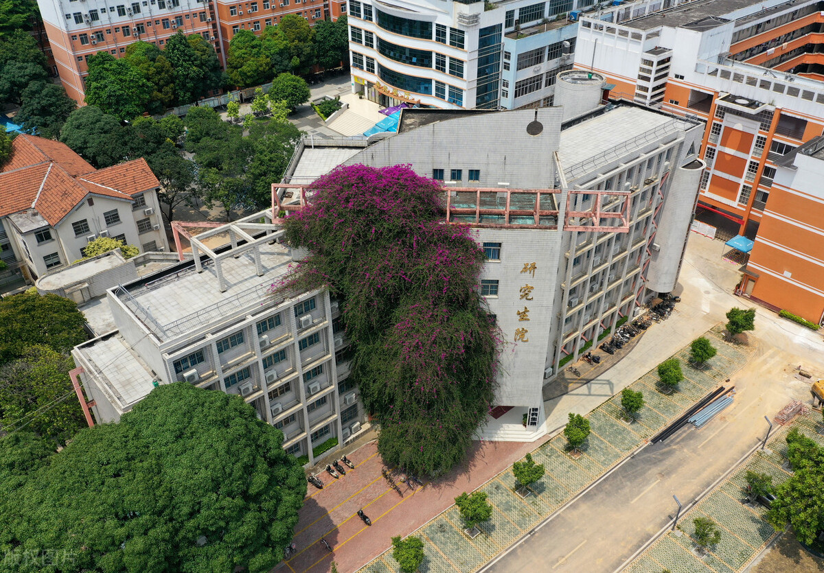 补录！5所211院校六月依然继续“补录”