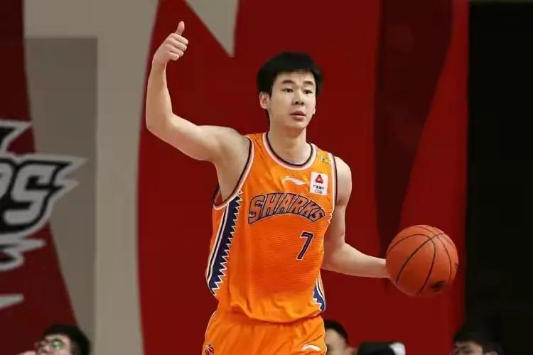 cba7号是哪个人(cba本土7号球员：未来之星张镇麟、郭昊文上榜，王仕鹏绝杀成经典)