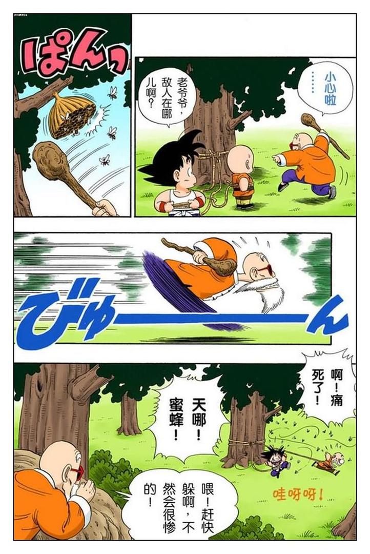 孙悟空修行篇 第31话 龟仙流的严格修行