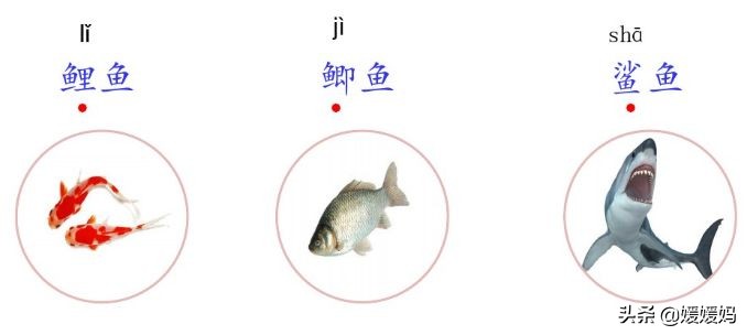 部编版语文三年级上册教材课后习题参考答案