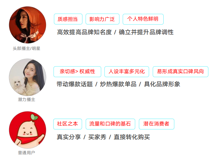 小红书平台内容生态