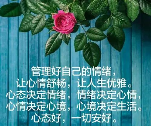 管好自己就能飞读后感(管好自己就能飞读后感800字) _晶羽文学网