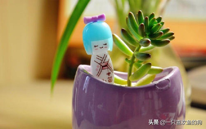 我，一个念旧的人，活的就像个拾荒者