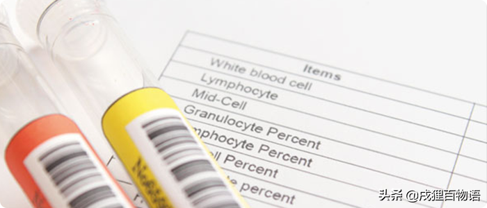 狗瘟会传染人吗