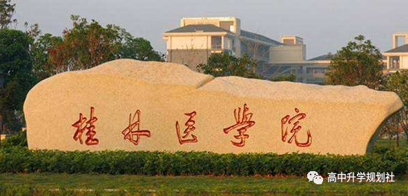 国内全部公办大学介绍。D21：广西自治区高校（25）——靠后梯队