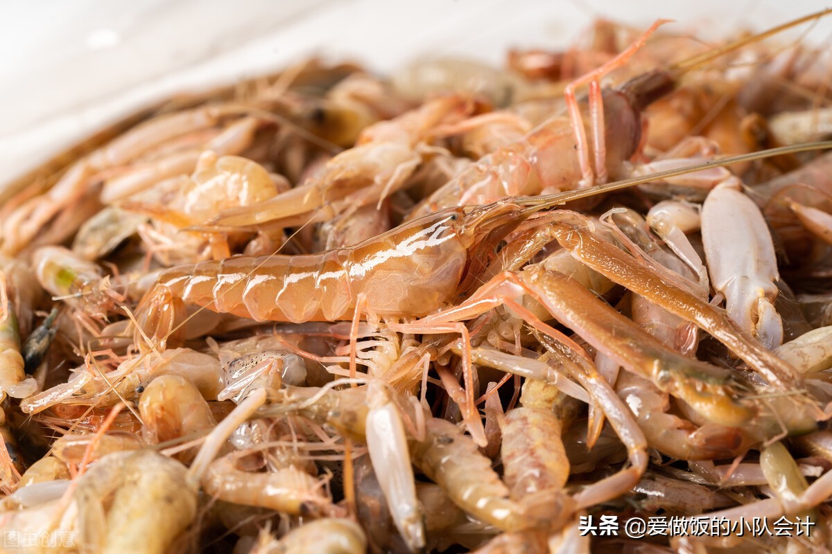 海蝦的種類,海蝦的種類及圖片