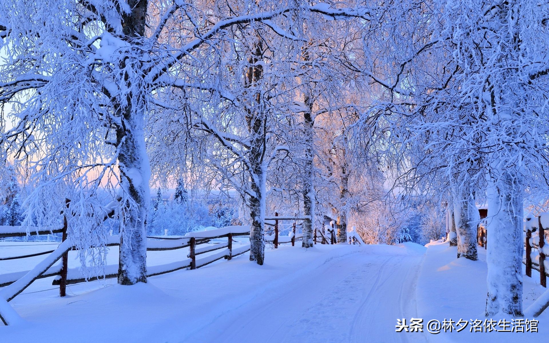 27个温暖的初雪句子，希望一路可以陪你走过寒冬，直到暖风过境！