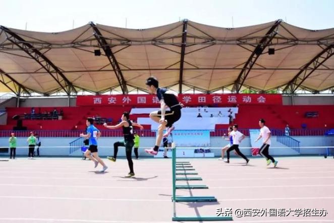 到底啥是佩奇？西安外国语大学这样回答