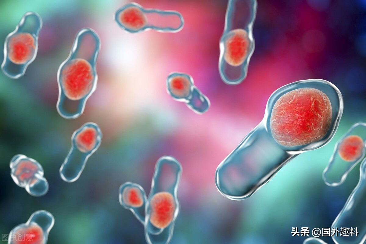 智利科学家计划用“吃金属”细菌来清理矿场