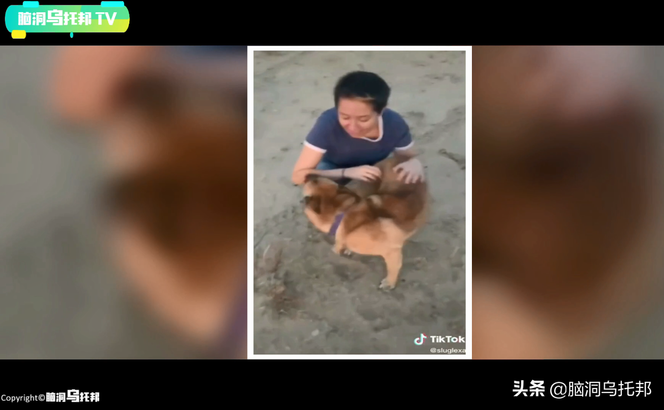 一款不该下载的超邪门手机APP，用意念连接现实后玩家有惊人发现