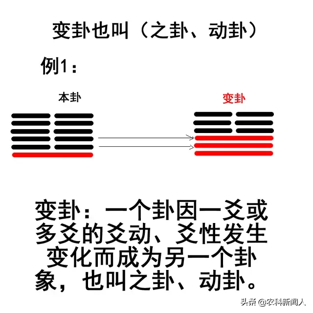 易经六十四卦之间的关系总结大全