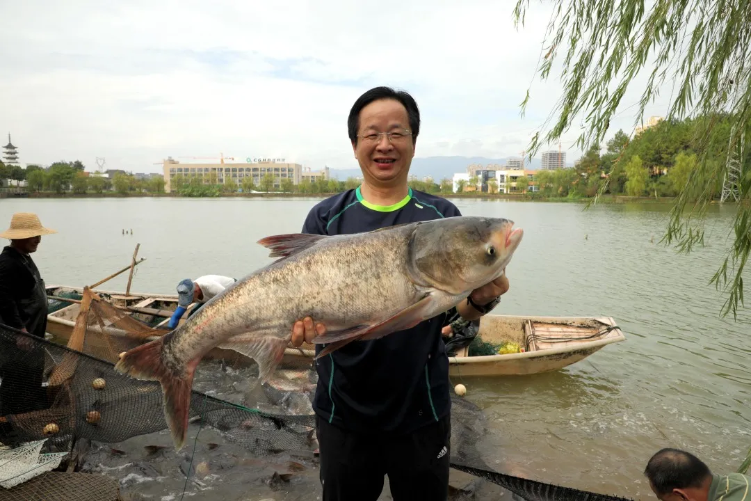 金职喊你免费吃鱼啦