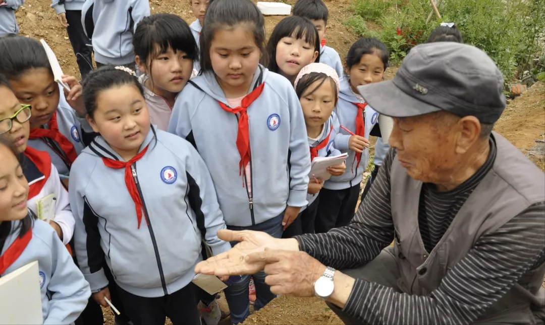 威海市环翠区北竹岛小学：构建“333”体系 高质量推动中医药文化进校园