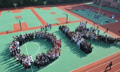 领科&光剑&上实三剑客该如何选择？多方面对比