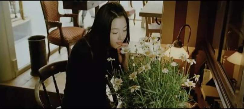 《雏菊》：因一盆雏菊而引发的一场美丽的爱情悲剧