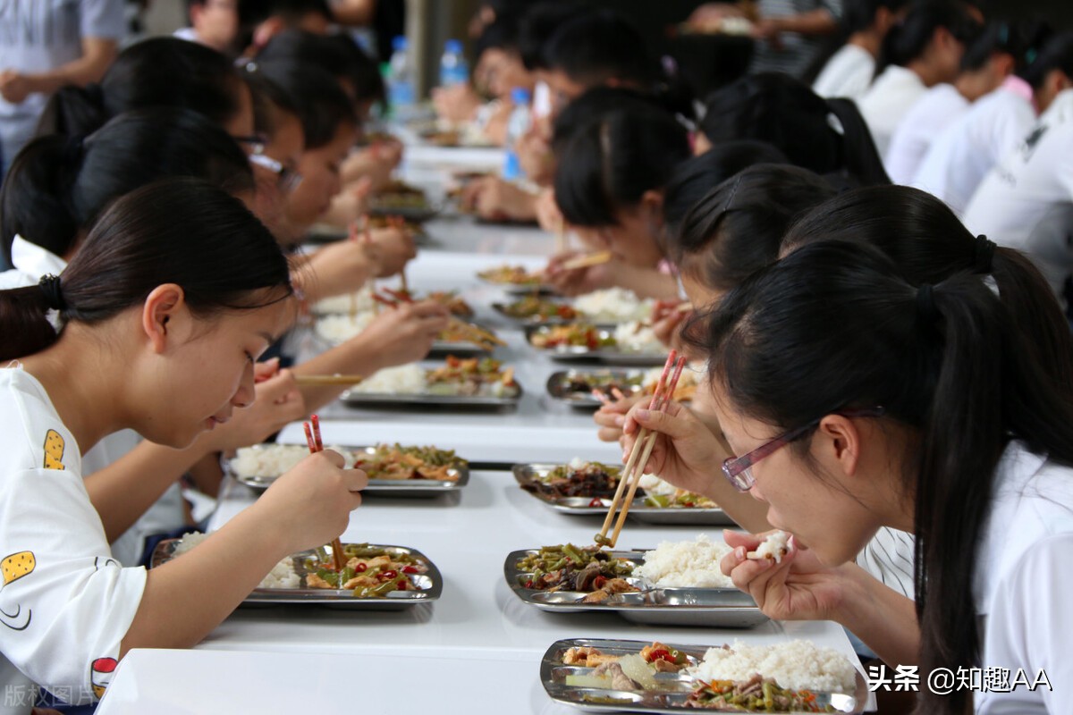 职工食堂承包合同,职工食堂承包合同范本