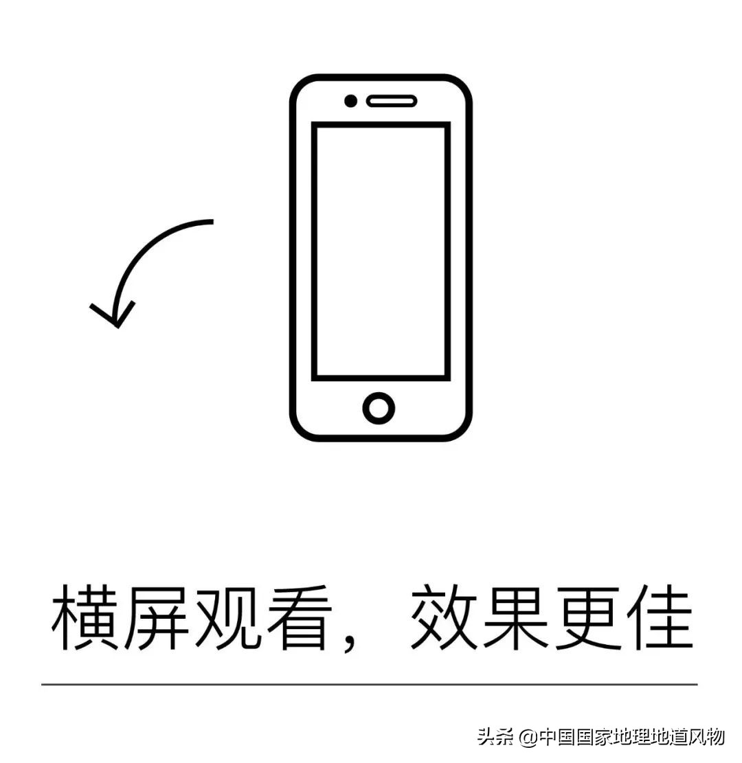 小白杏、大接杏、水蜜杏......中国到底哪里的杏子最好吃？