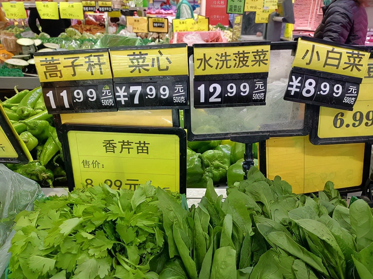 “菜比肉還貴”？全國(guó)多地蔬菜突破“十元”大關(guān)，咋回事？