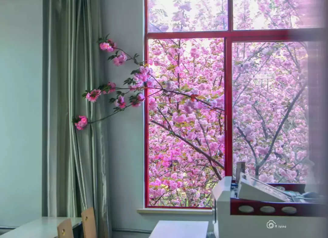 西安交通大学书法、美术专业招生简章来啦！报考交大请注意这些步骤！