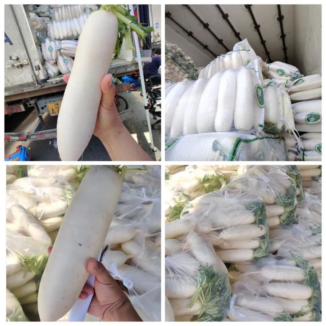 上海江桥：西兰花、白菜、青甘蓝价格回升，胡萝卜、白萝卜、卷心菜等表现平平