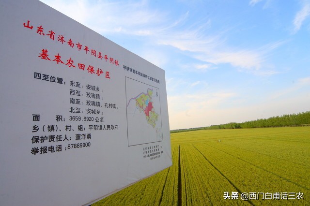 农民在永久性基本农田里挖鱼塘栽果树违法，看看你家耕地是不是？