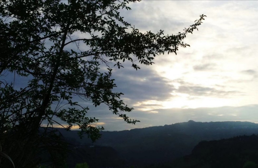 《怀念父亲》七言绝句八首