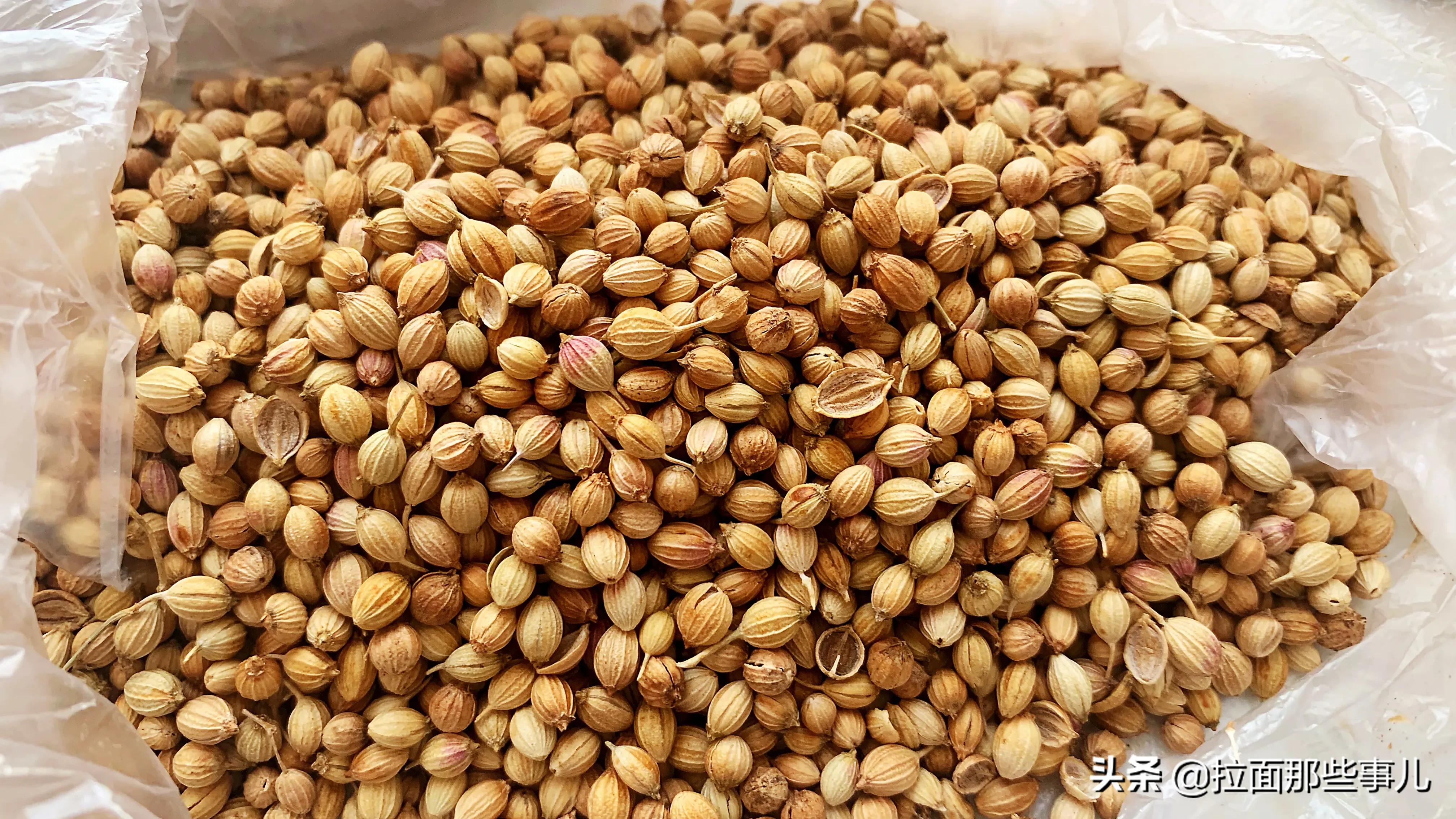 香菜籽的功效与作用(香辛料宝典) - 行就行