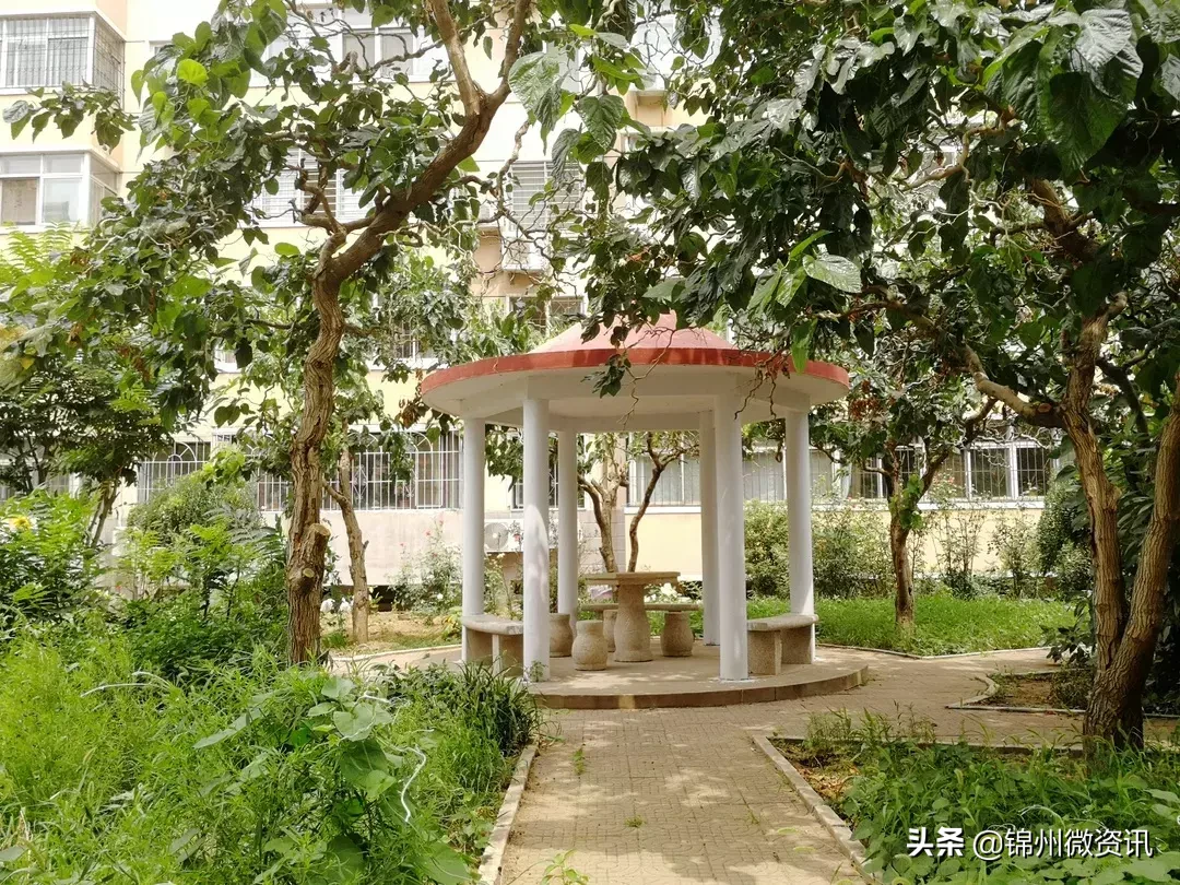 锦州实验学校三年小同学的一封信！凌河区小街小巷大变样