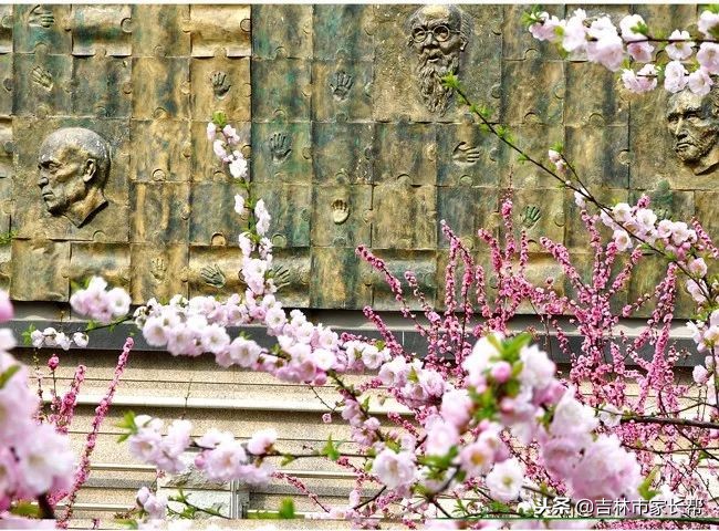 高考必读：吉林师范大学吉林省历年来录取分数线