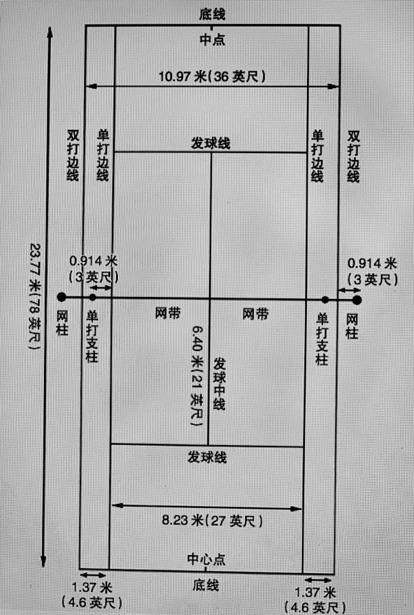 网球比赛规则单打(干货｜网球场上的那些规则你真的了解吗？)