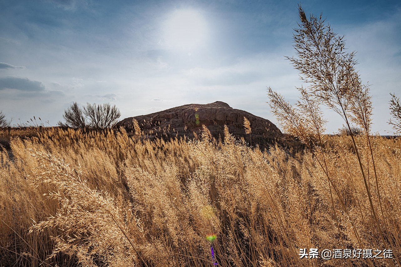 李陵碑遗址在哪（芦苇荡中的李陵碑遗址图片）